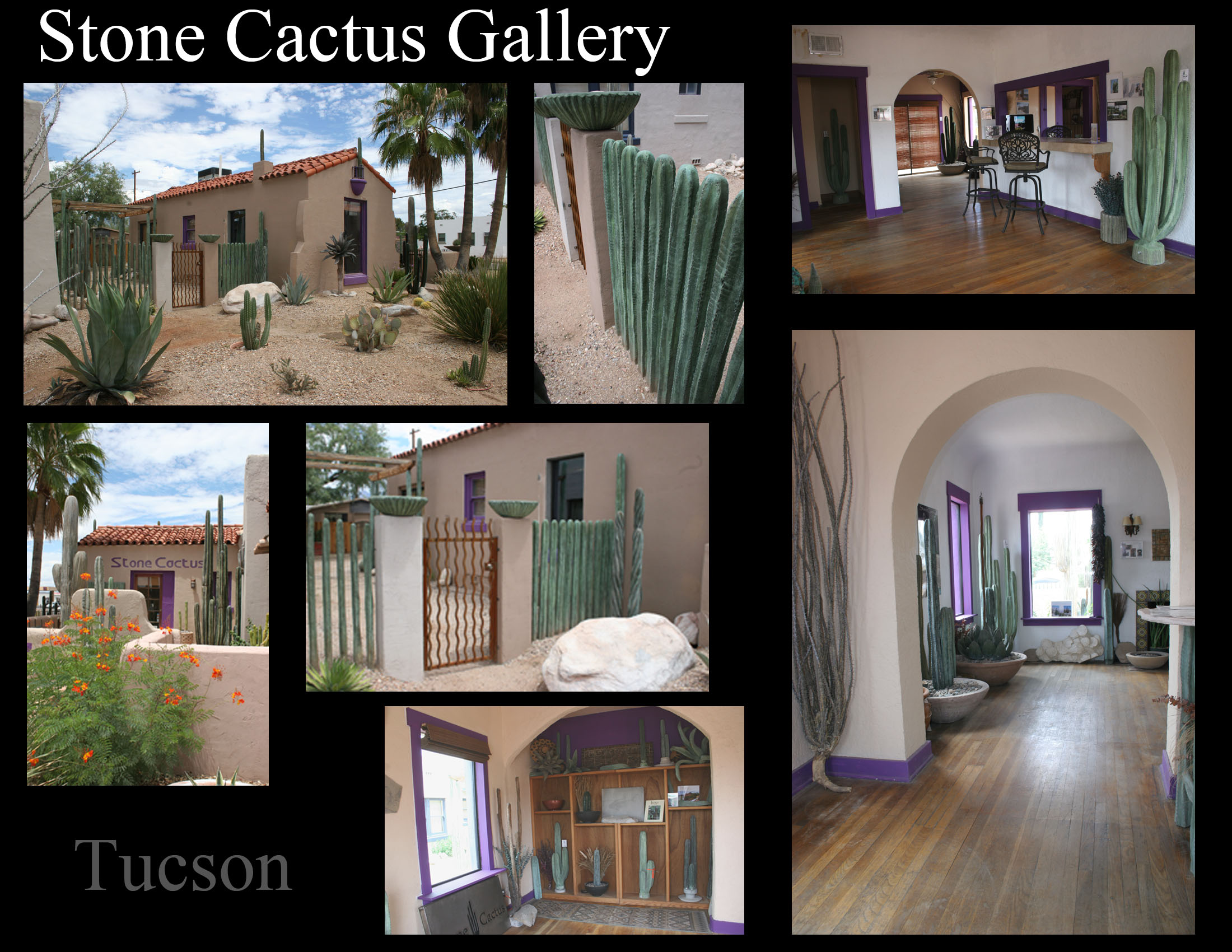 Stone Cactus Gallery - Tucson